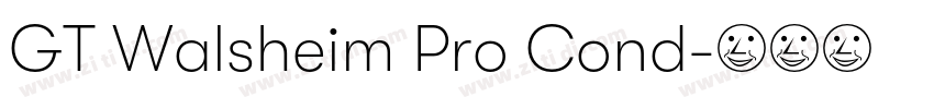 GT Walsheim Pro Cond字体转换